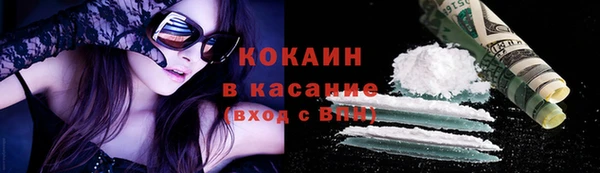 сатива Михайловка