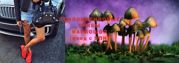 Альфа ПВП Медногорск