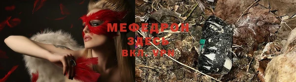 сатива Михайловка