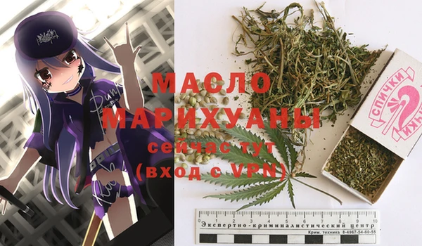 сатива Михайловка
