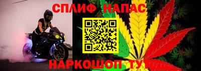 амф Апшеронск